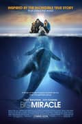 Big Miracle cover
