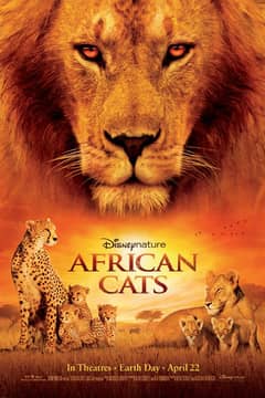 African Cats cover