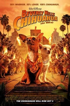 Beverly Hills Chihuahua cover