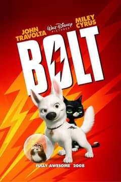 Bolt cover