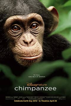 Chimpanzee cover