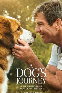 Dog's Journey, A cover