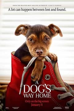 Dog's Way Home, A cover