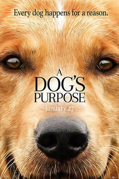 Dog's Purpose, A cover