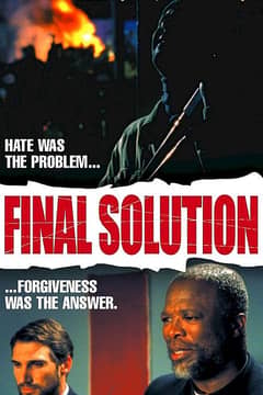 Final Solution cover