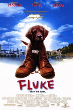 Fluke cover