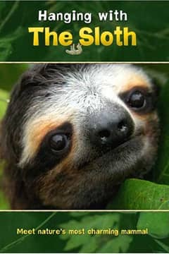 Hanging with The Sloth cover