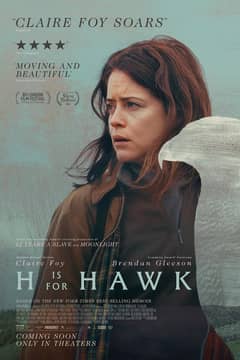 H is for Hawk cover