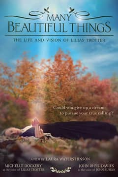 Many Beautiful Things cover