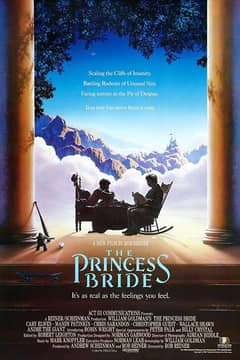 Princess Bride, The cover