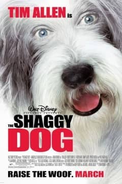 Shaggy Dog, The cover
