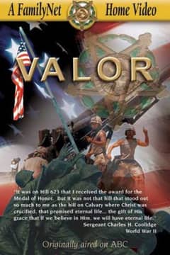 Valor cover